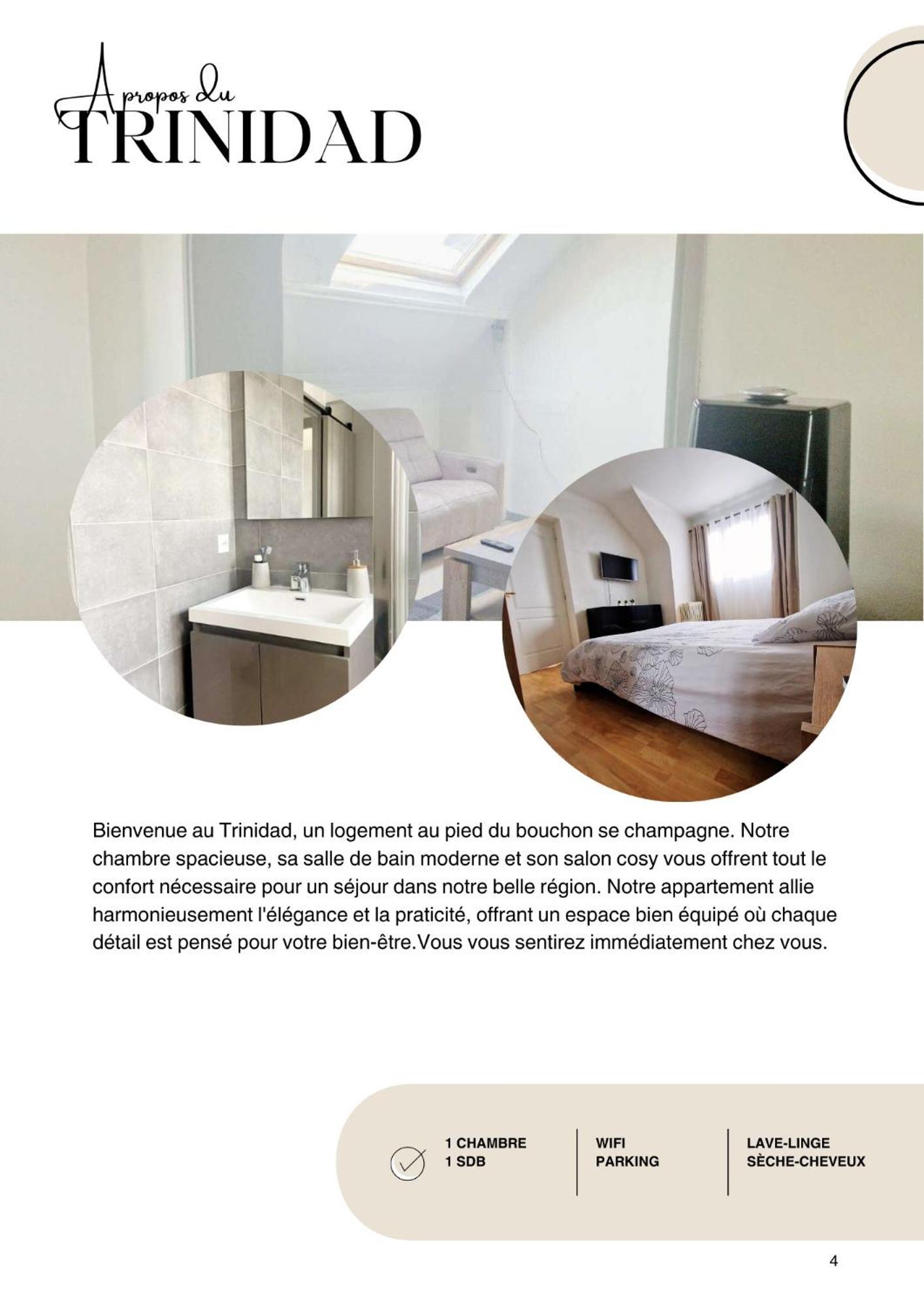 Le Trinidad Apartment Troyes Ngoại thất bức ảnh